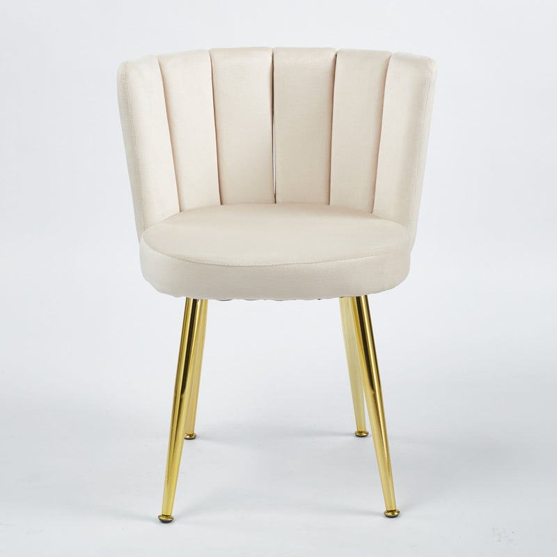 Ergonomic Dining Chair (Set of 2)
