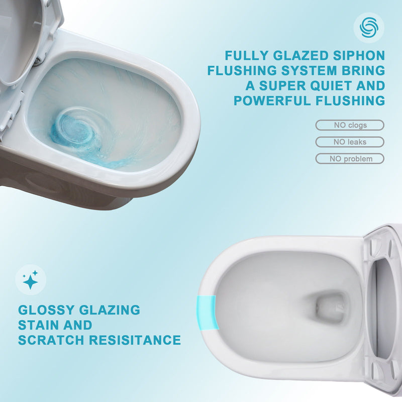 1 Piece Toilet For Bathroom, Dual Flush 1.1 / 1.6 Gpf, Soft Closing Seat - White