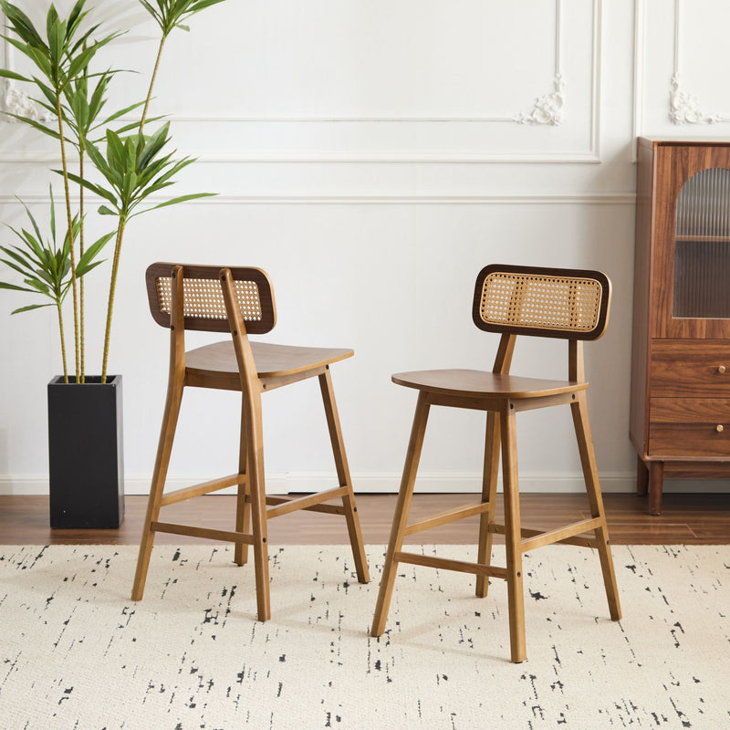 Bari - Indoor Wood Barstool (Set of 2)