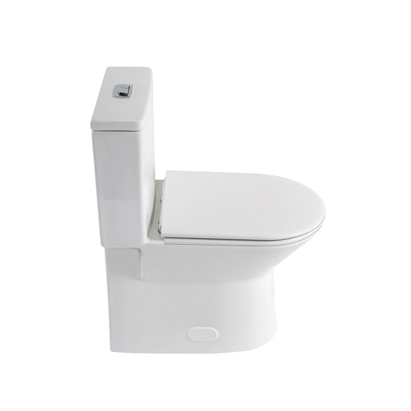 1 Piece Toilet With Dual Flush & Rimless Bowl - Glossy White