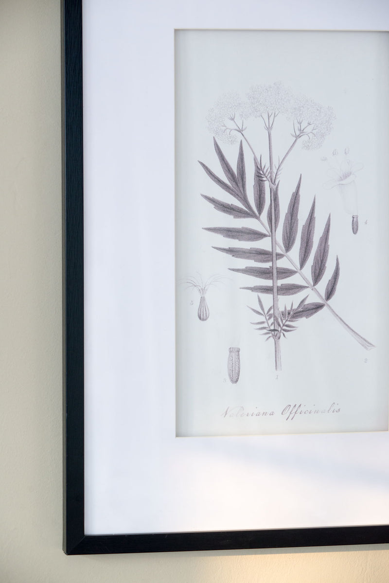 Botanical Wall Art Prints, Home Decor For Living Room Dining Room, Bedroom, Hallway (Set of 4) - White / Black