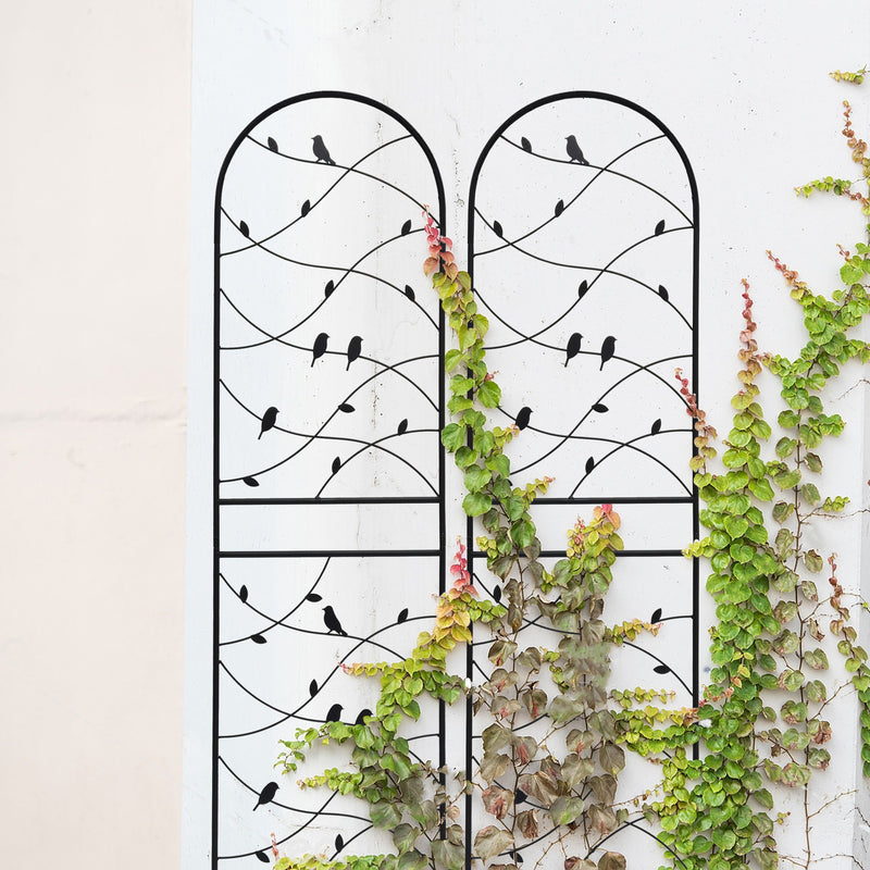 Garden Rustproof Trellis For Climbing Plants
