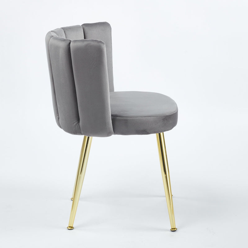 Ergonomic Dining Chair (Set of 2)