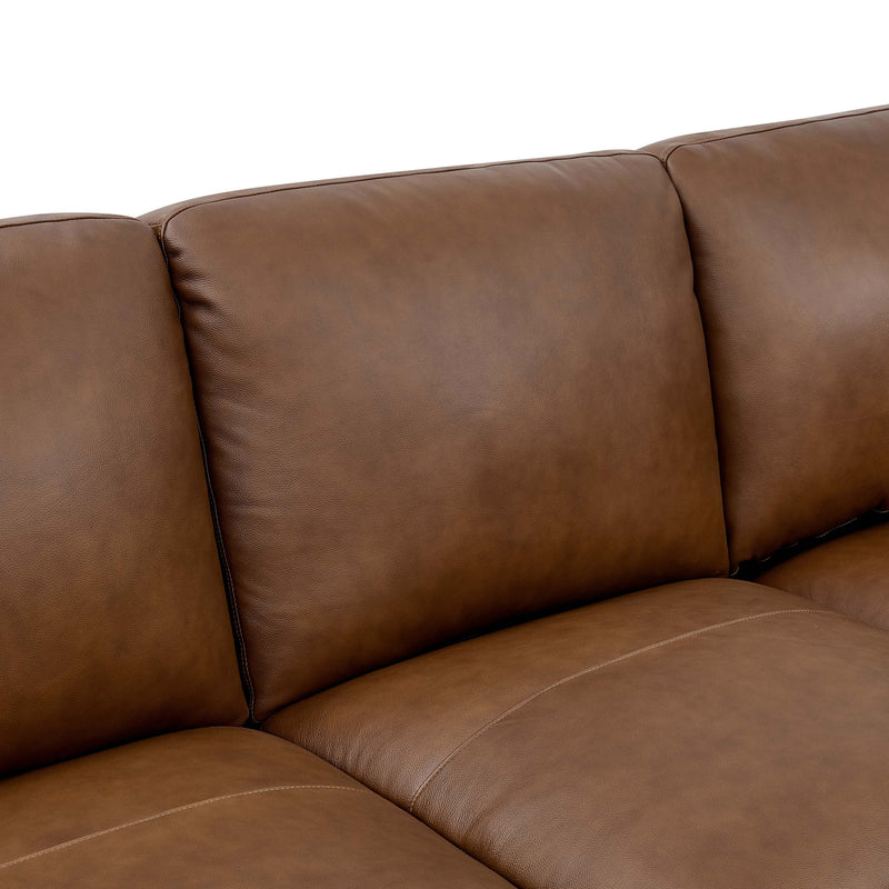 Large Seating Modular Sectional