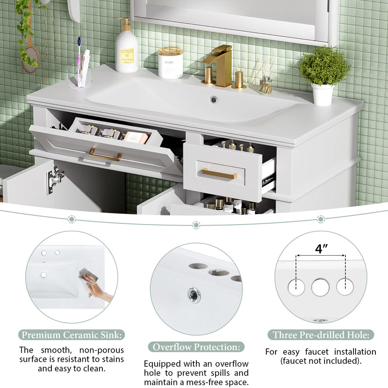 Bathroom Vanity With Sink, Soft Close Doors, 4 Storage Drawers