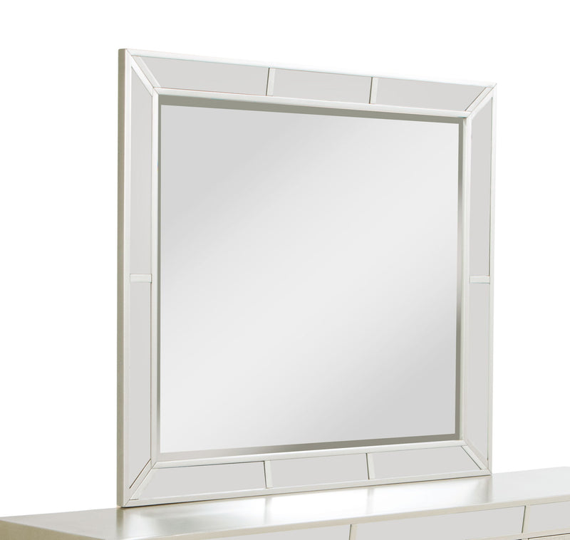 Elegant Contemporary Mirror