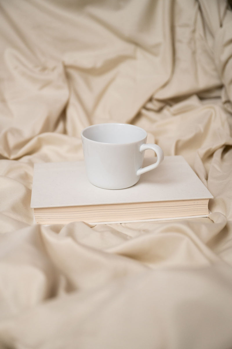 Brushed Hypoallergenic Sheet Set