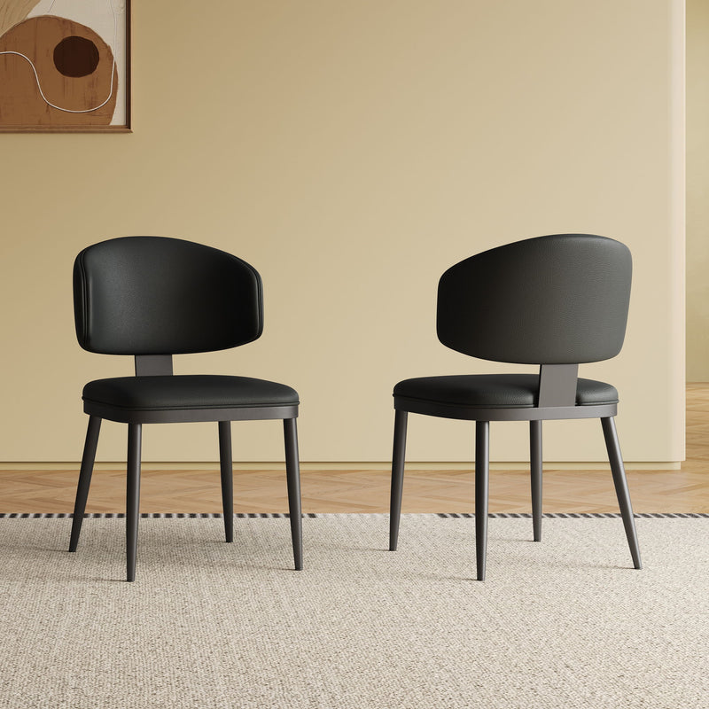 Modern Dining Chairs For Kitchen (Set of 2)