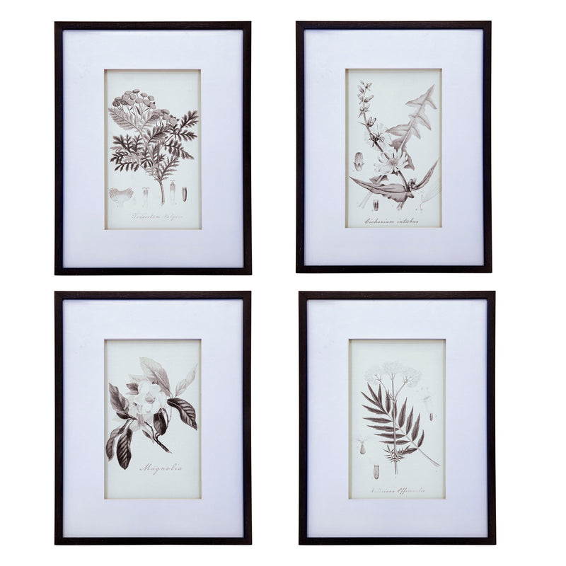 Botanical Wall Art Prints, Home Decor For Living Room Dining Room, Bedroom, Hallway (Set of 4) - White / Black