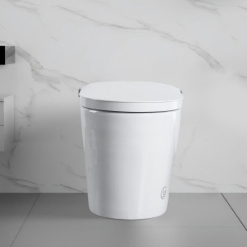 Tankless Smart Toilet With Bidet Built In, 1 Piece, Auto Flush, Auto Open / Close, Heated Seat, Bubble Wash, Warm Water And Dry, Adjustable Temp, Remote Control Side Know - White
