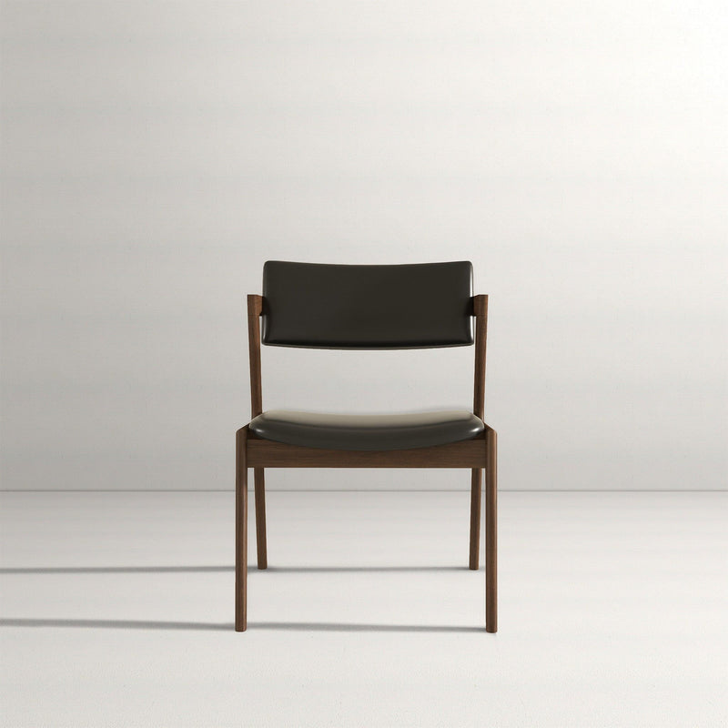Edwin - Mid-Century Modern Dining Chair (Set of 2)