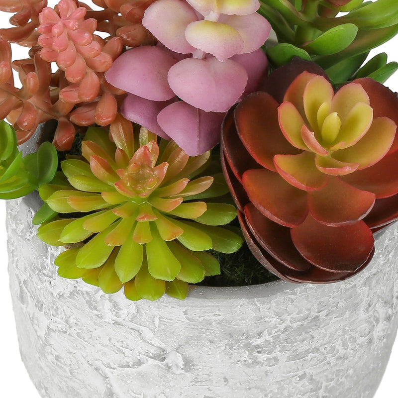 Artificial Succulent Table Decor (Set of 2) - Green - Plastic
