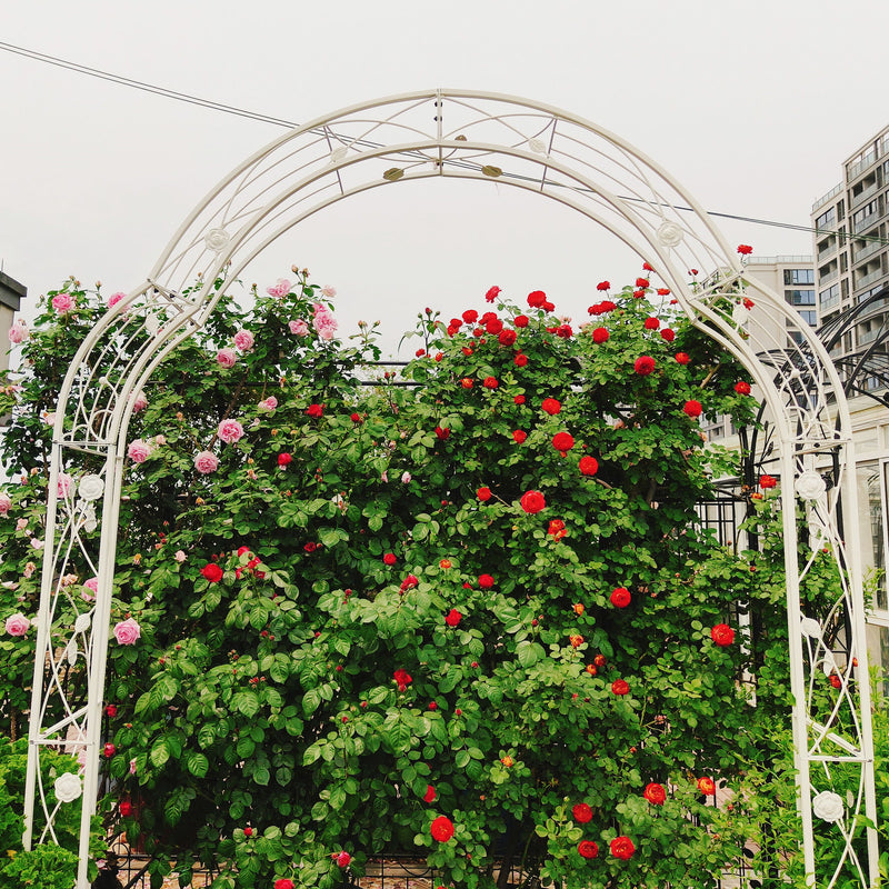 Metal Garden Arch Assemble Freely With 8 Styles Garden Arbor Trellis Climbing Plants Support Rose Arch