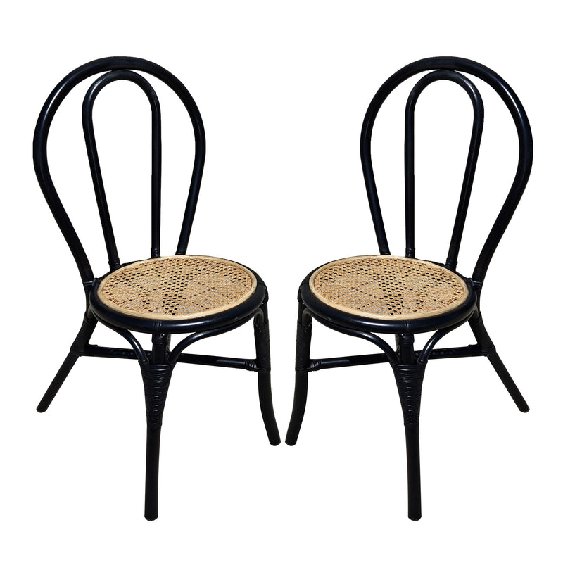 Rattan Dining Chair (Set of 2) - Black Multi