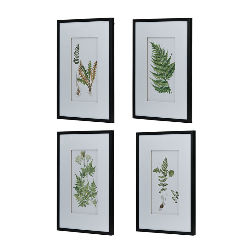 Botanical And Fern Wall Art, Wall Decor For Living Room Dining Room Entryway (Set of 4) - White / Black